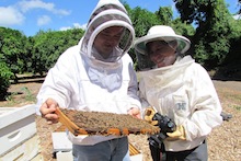 Scott Nikaido and Ethel Villalobos in bee suits